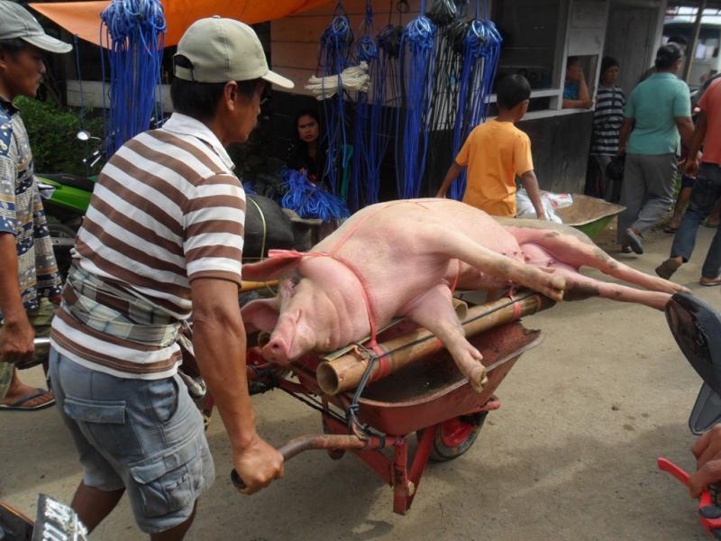 BOLU MARKET IN NORTH TORAJA